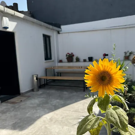 Lägenhet Savcibey Building *