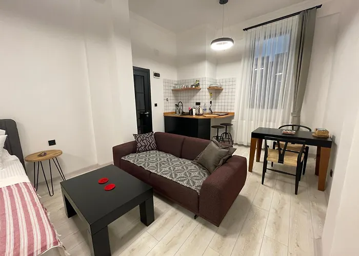 公寓 Savcibey Building *