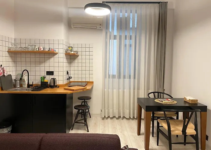 Savcibey Building 公寓 伊斯坦布尔