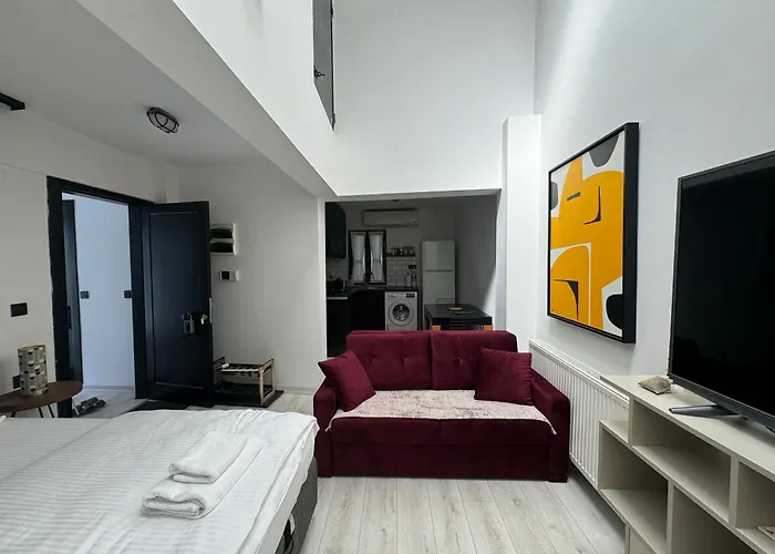 Savcibey Building 公寓 伊斯坦布尔