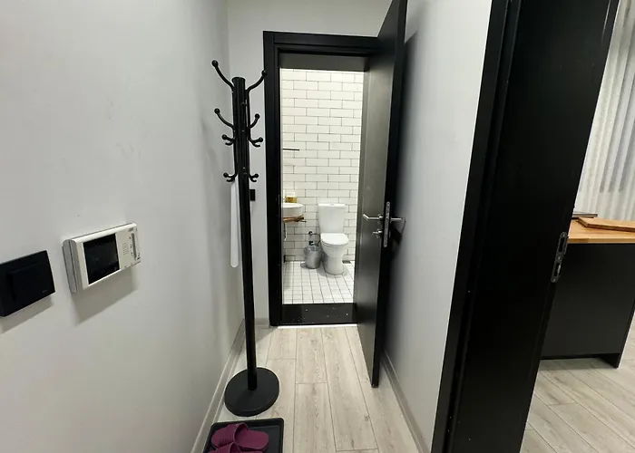 公寓 Savcibey Building 伊斯坦布尔